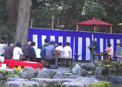 雪椿茶会・野点の様子