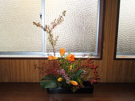2025年10月の花