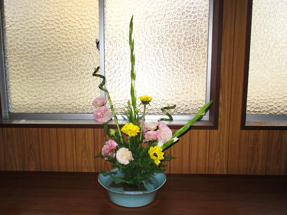 2025年6月の花