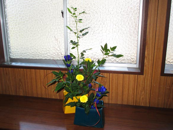2025年8月の花