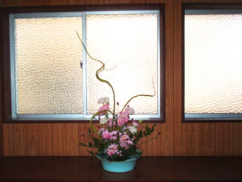 2025年9月の花