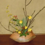 2019年2月の花1