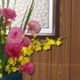 2025年7月の花